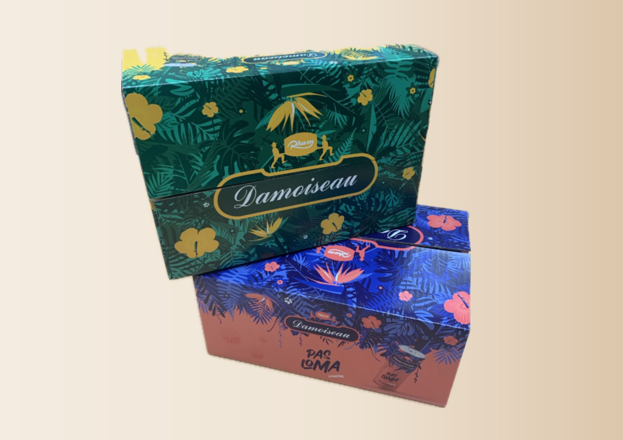 Emballage carton original pour bouteilles