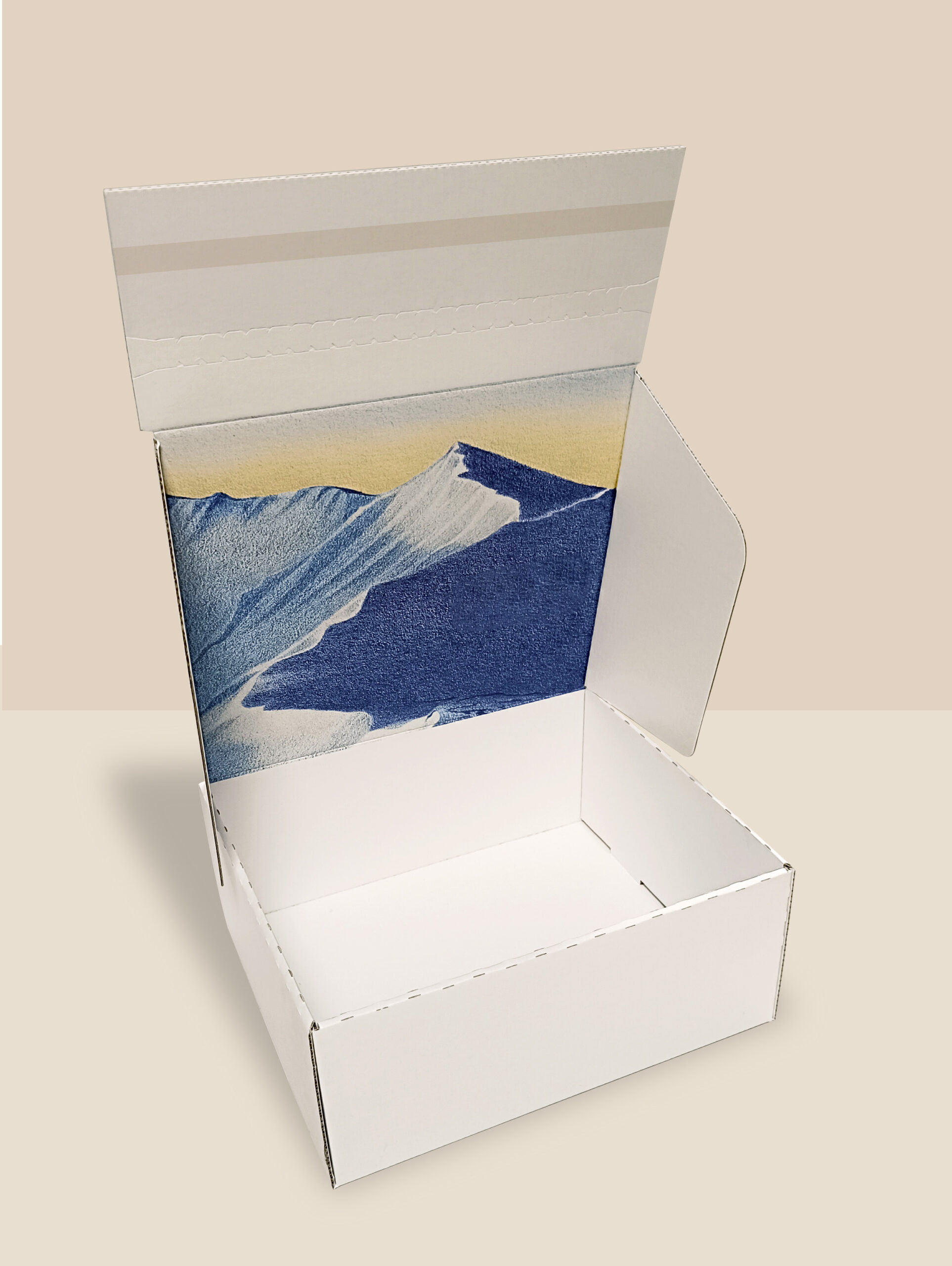 boite carton sur mesure duthoit scaled